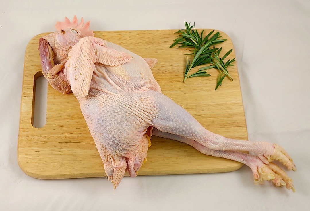 Ayam Tua (Old Hen)