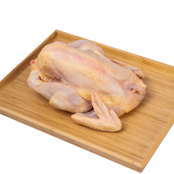 Ayam Kampong (Kampong Chicken)
