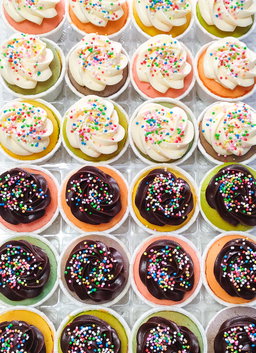 Rainbow Nutella Mini Vanilla Cupcakes