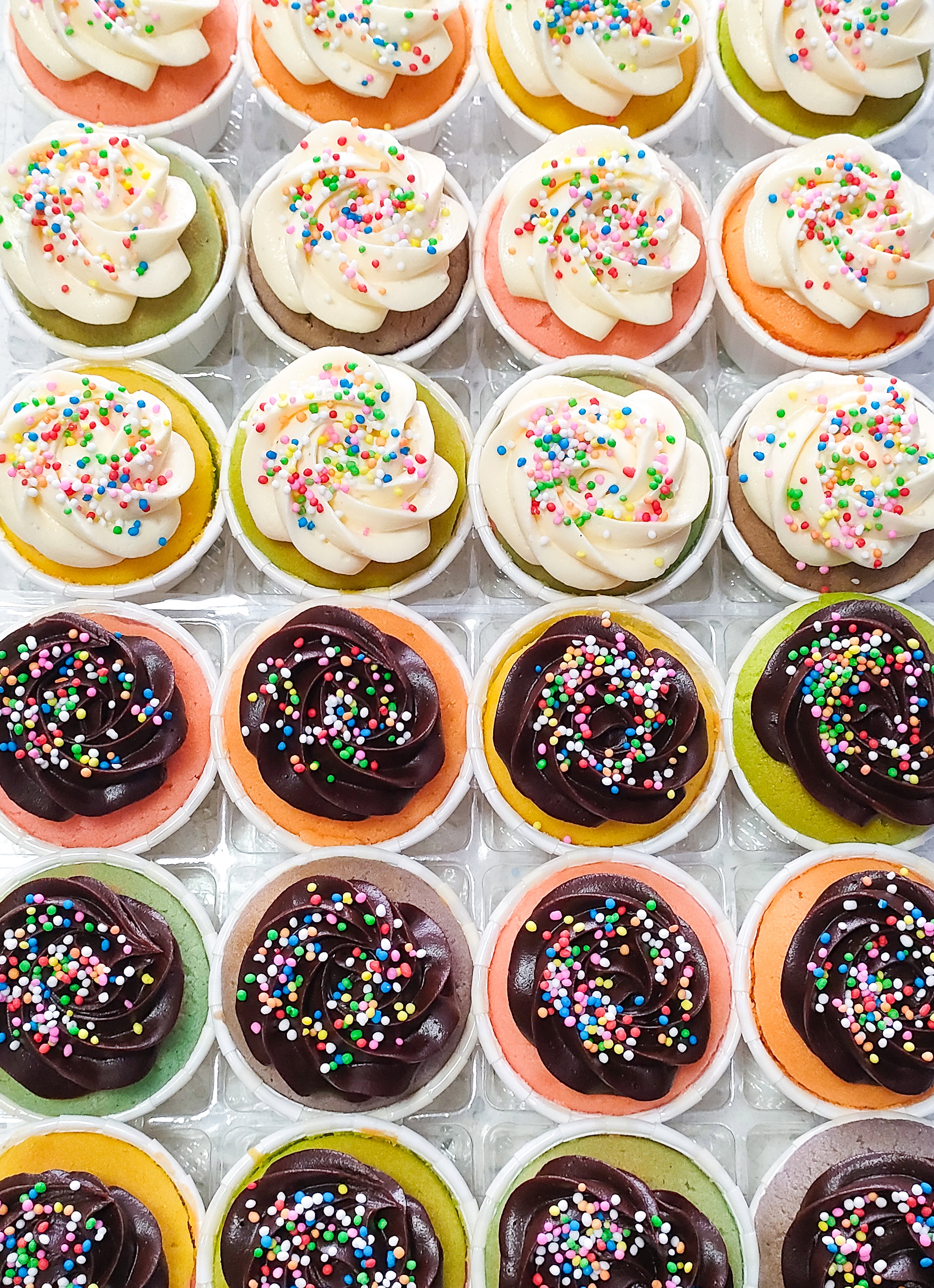 Rainbow Nutella Mini Vanilla Cupcakes