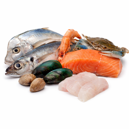 Friday Fresh Sea Food (Pre-Order)