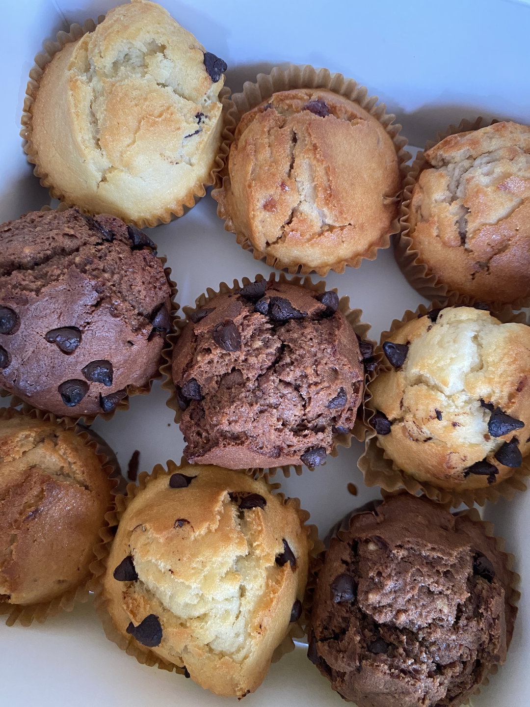 Box Muffins