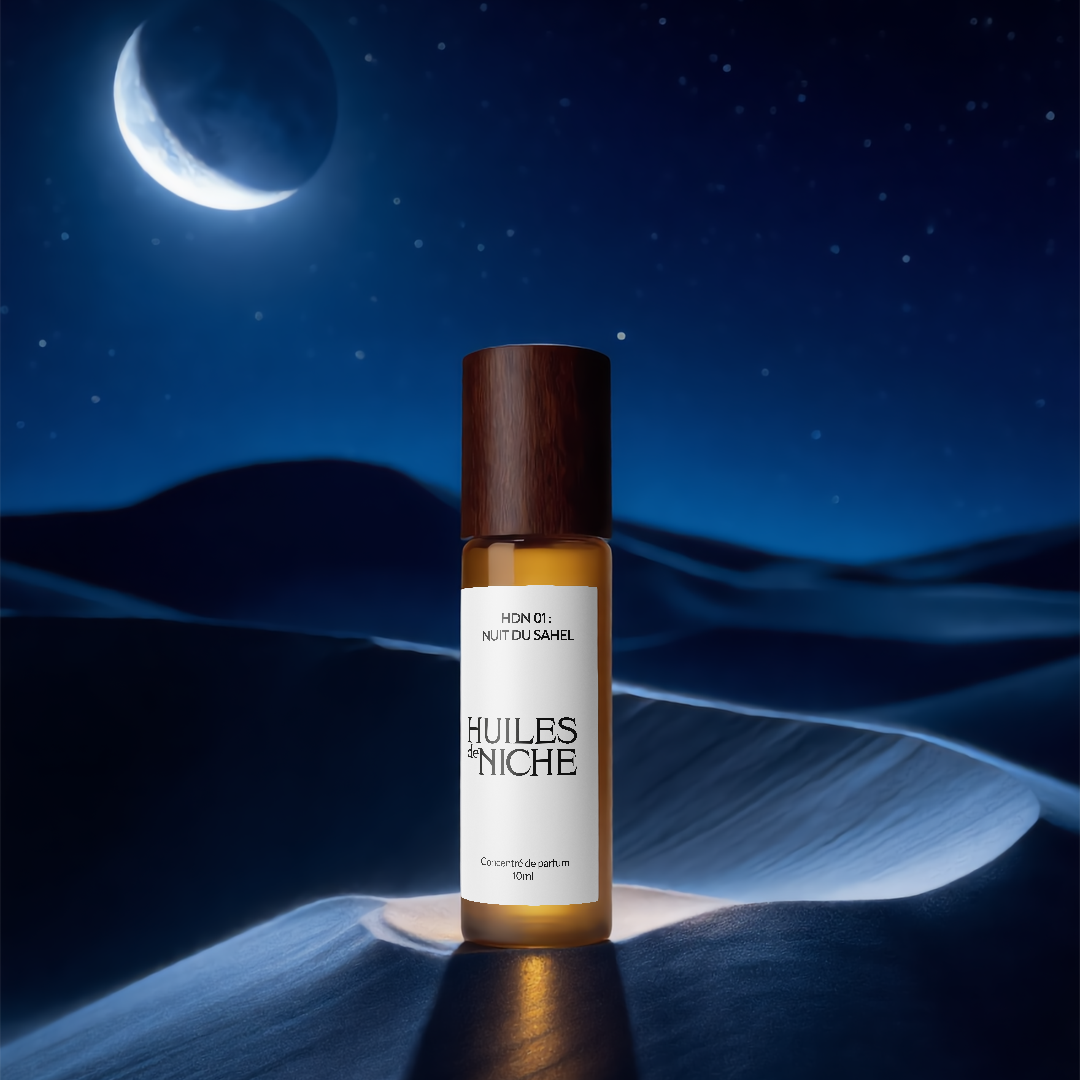 HDN 01 : Nuit du Sahel 
