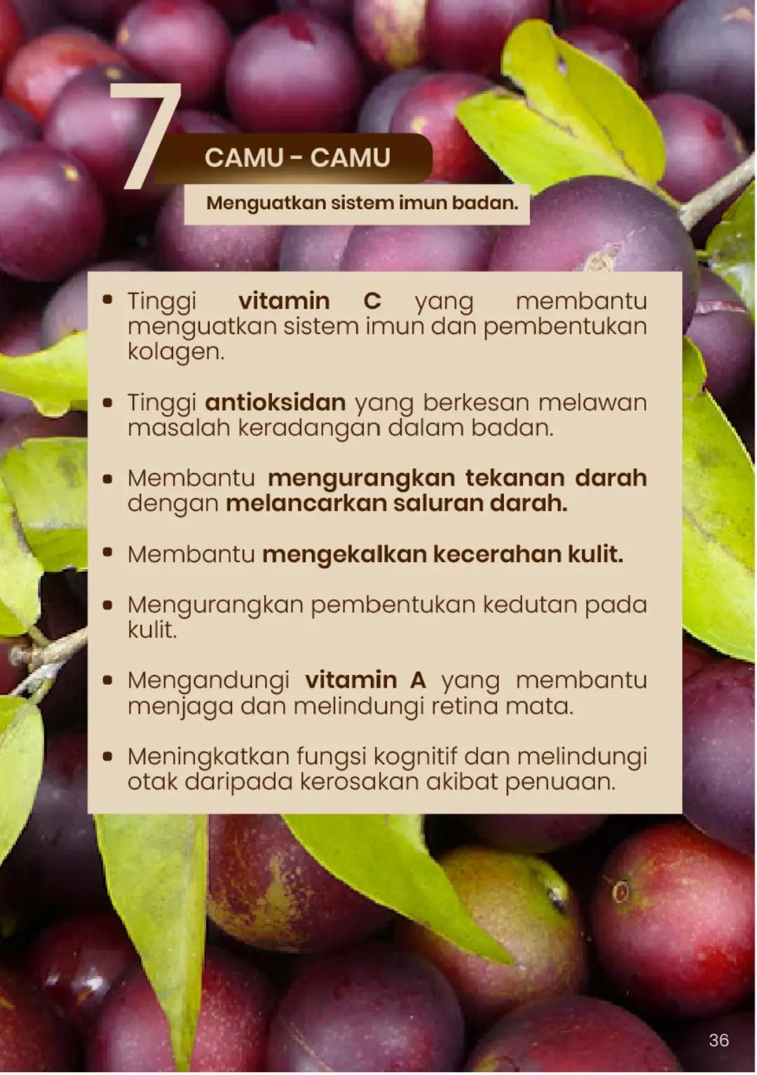 Charmello [Premium Dark Chocolate Drink]_14
