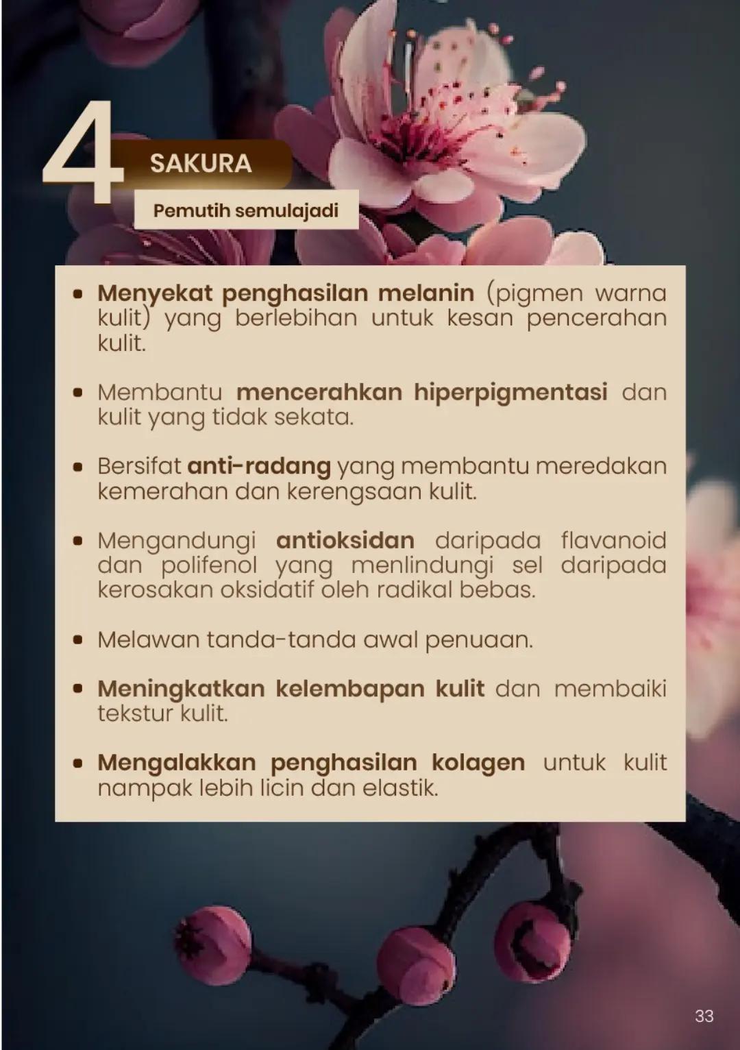 Charmello [Premium Dark Chocolate Drink]_11