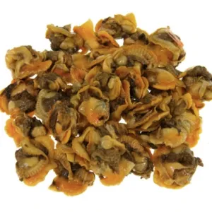 Kerang Rebus(Cooked)🐌_0