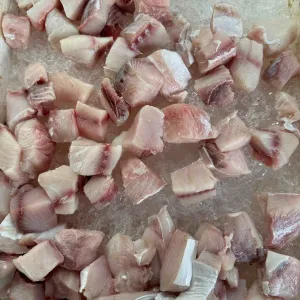 Shark Cubes (Frozen)_0
