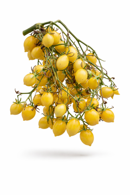 BARRY'S CRAZY CHERRY TOMATO x 10 organic seeds