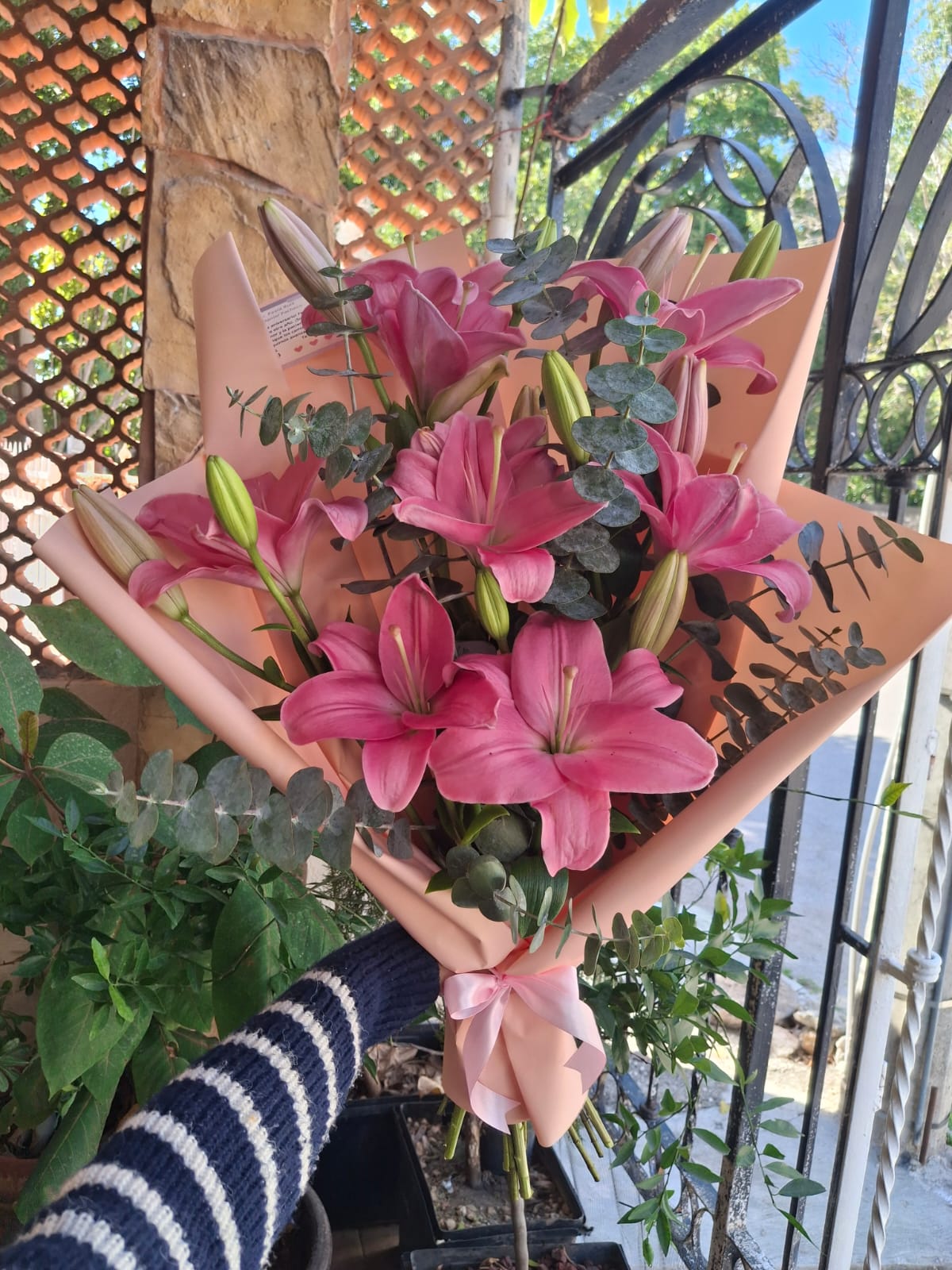 Lilys Elegance