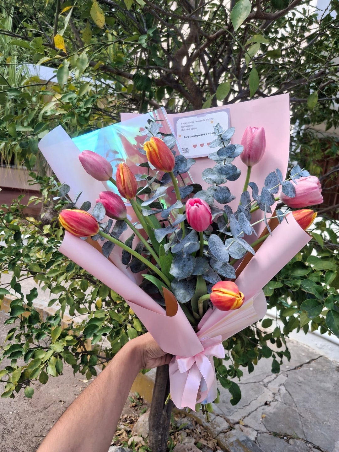 Tulipanes Fresh