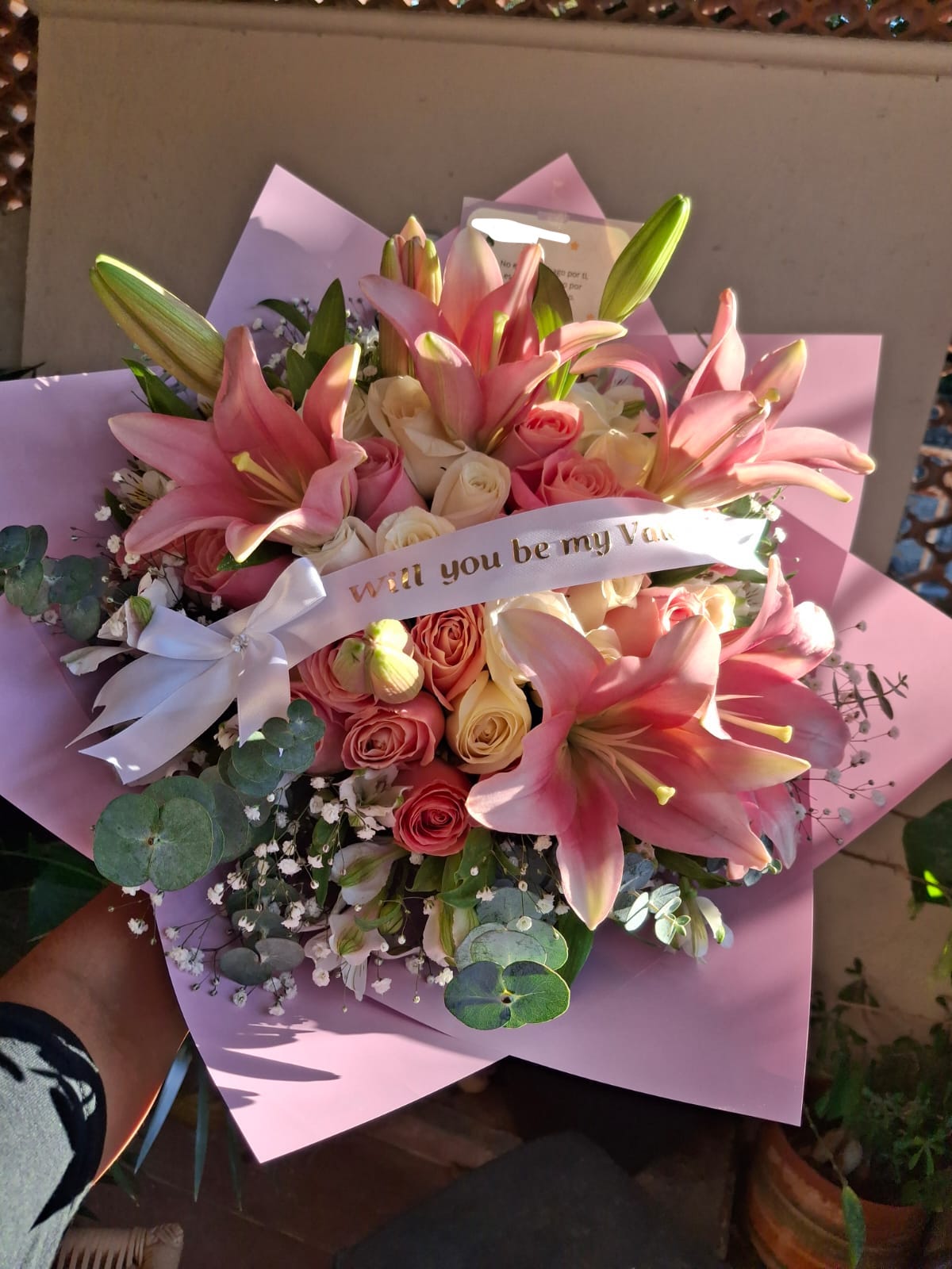 Encanto 40 - Rosas & Lilys