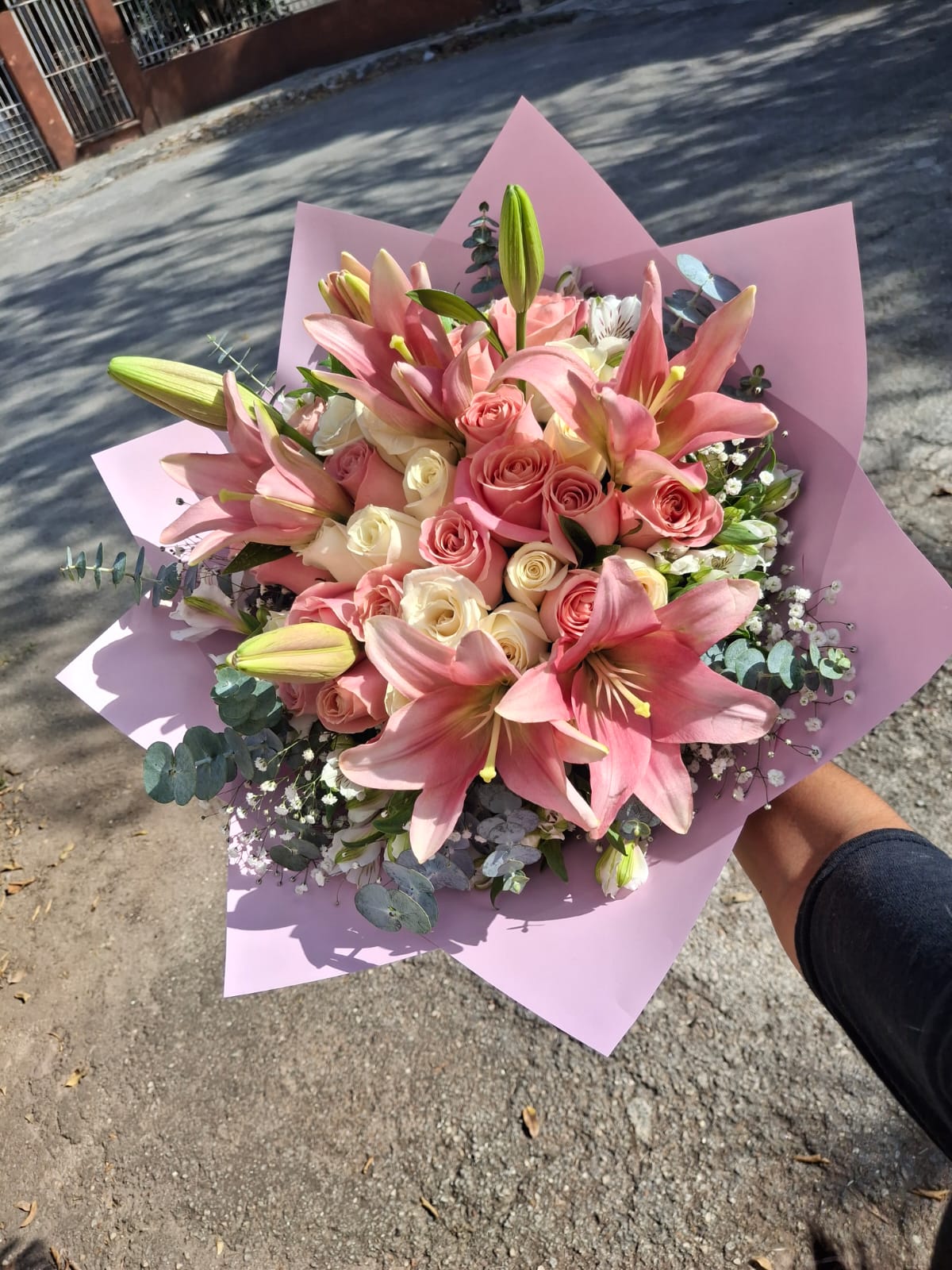 Encanto 40 - Rosas & Lilys _1