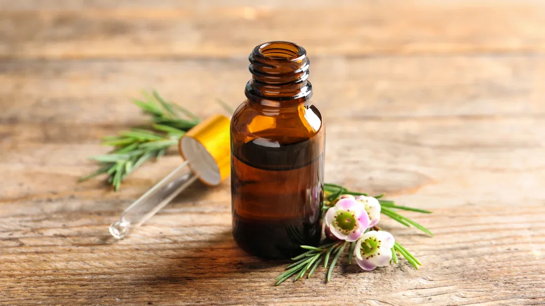 Aceite Esencial Árbol de té 10ml