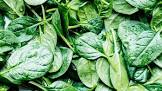 spinach_0