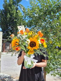 Jardín Radiante en Jarrón