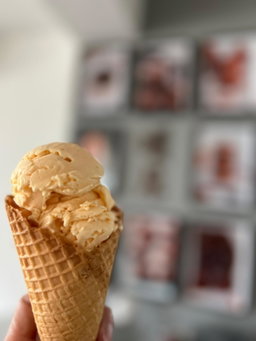 Ice Cream, Gelato, Sorbet
