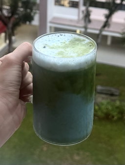 butterfly pea matcha 🌍