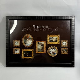 Museum of Us | Inspired Edition