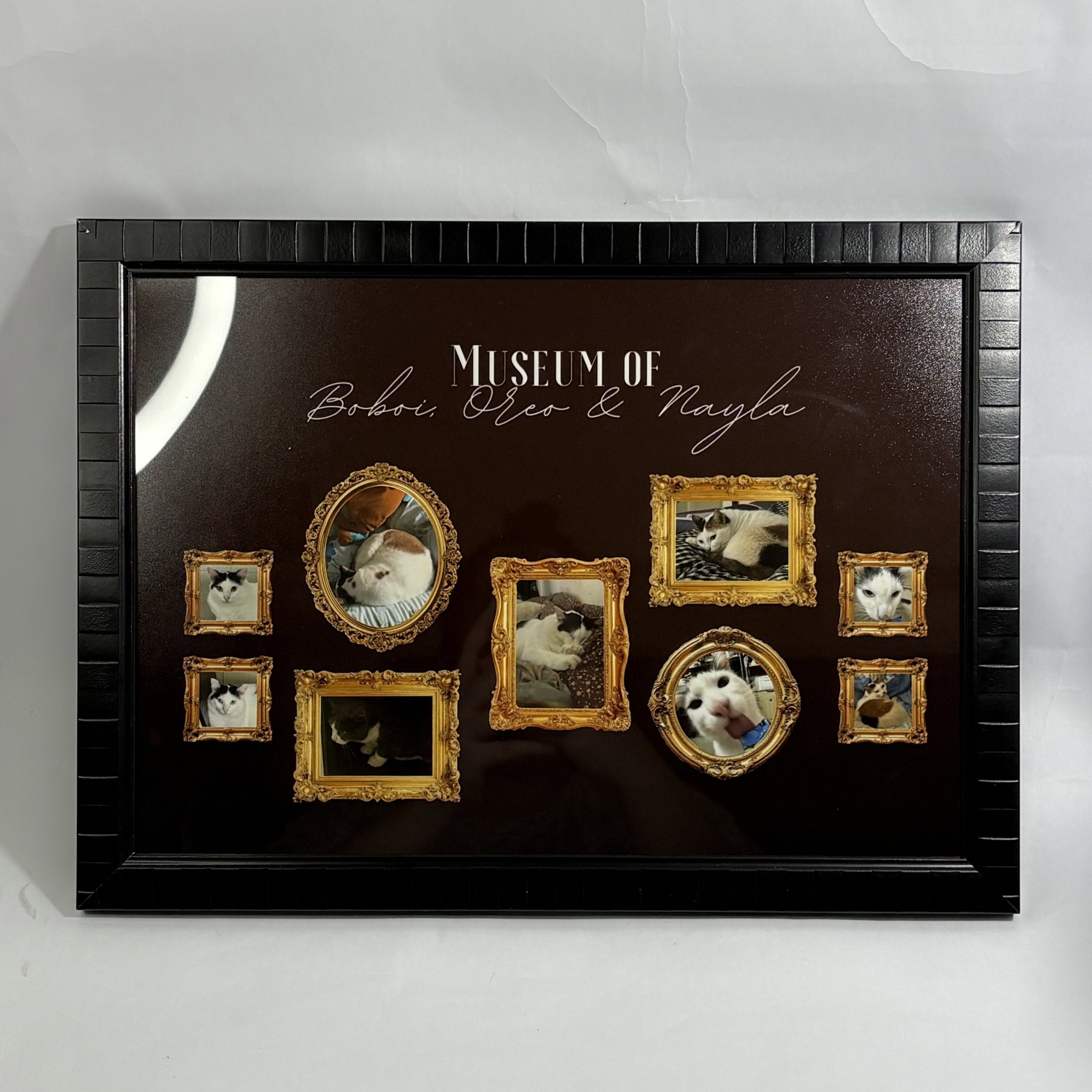 Museum of Us | Inspired Edition_1