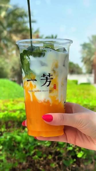 THÉ AUX FRUITS ET SLUSH