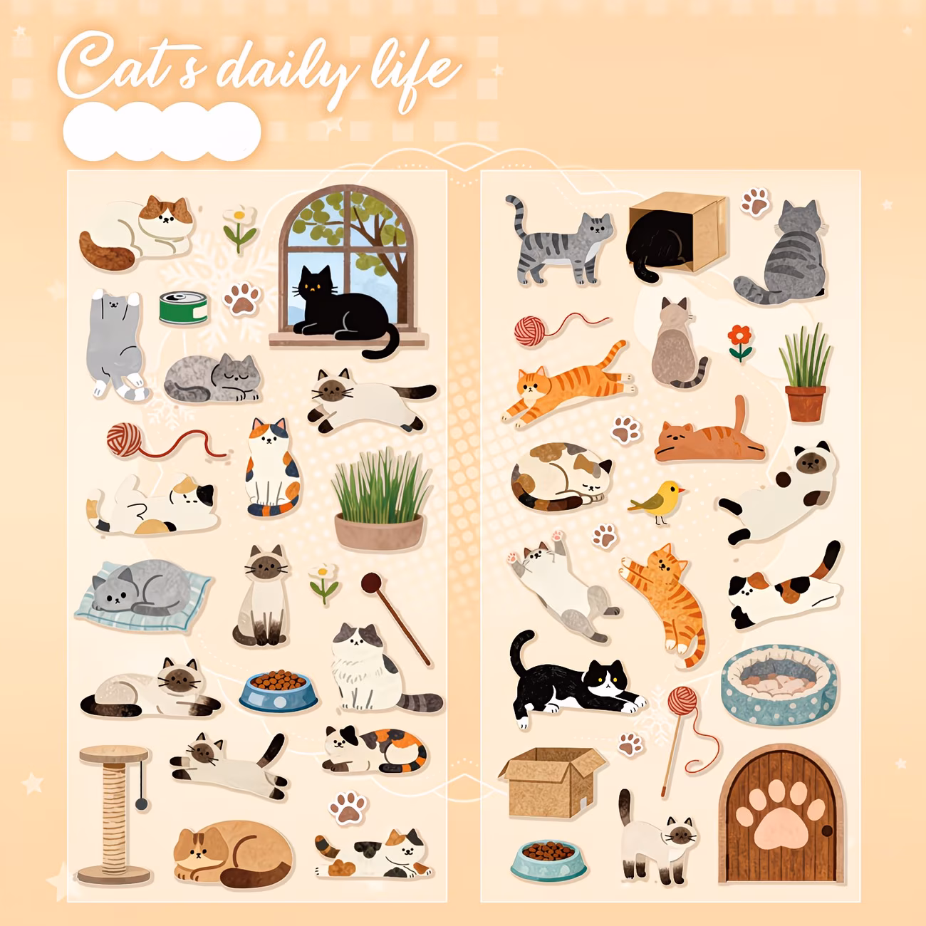 Cat Daily Stickers_3