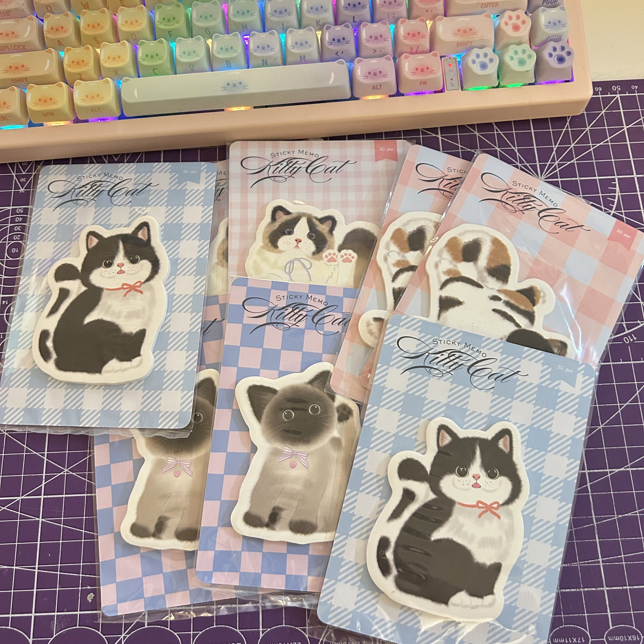 Kitty Cat Sticky Memo _0
