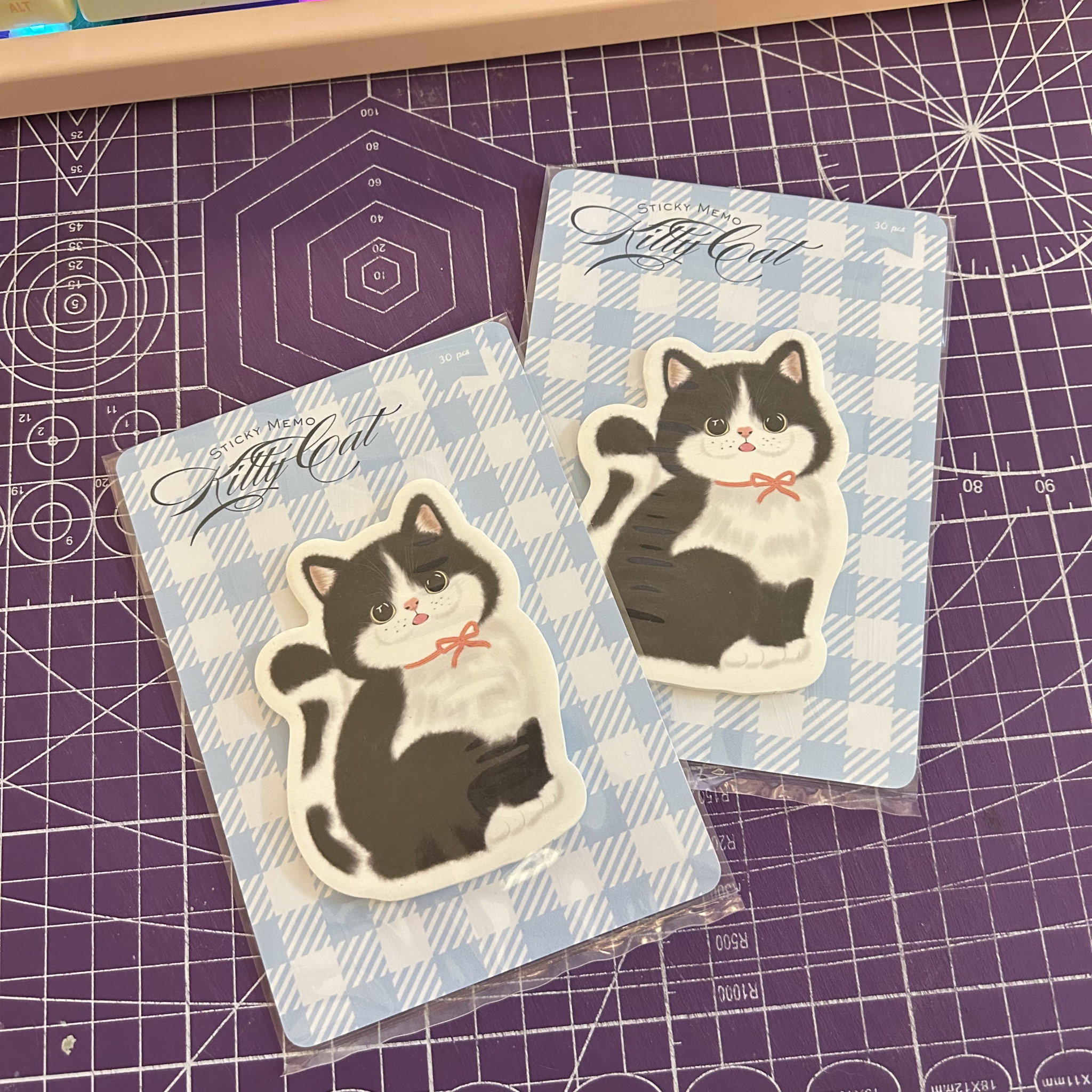 Kitty Cat Sticky Memo _1