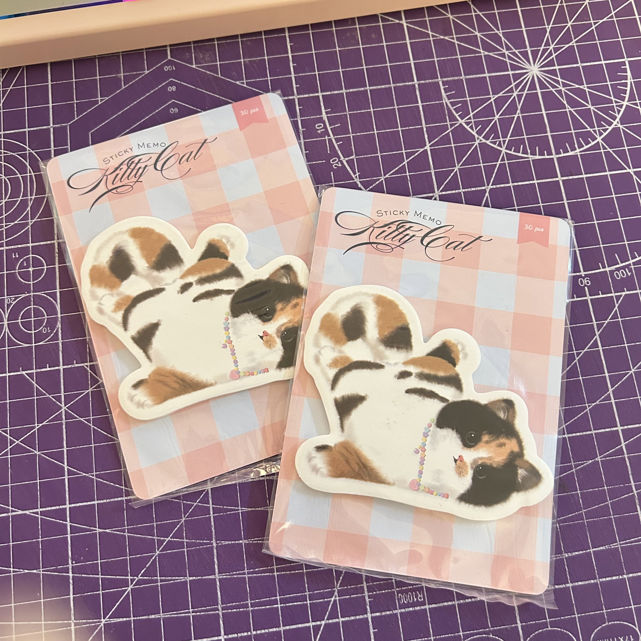 Kitty Cat Sticky Memo _2