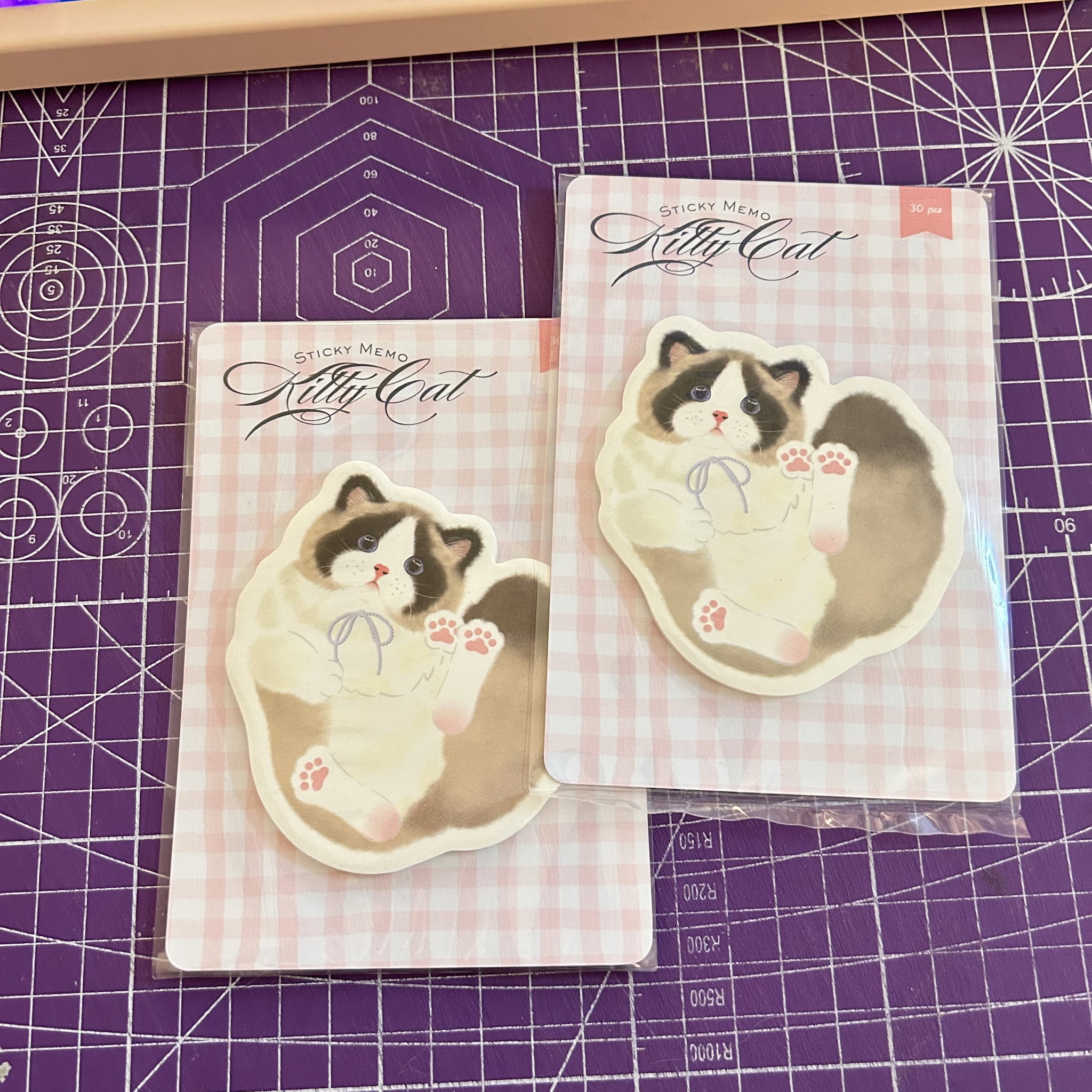 Kitty Cat Sticky Memo _3