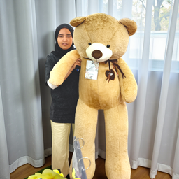 TEDDY BEARS