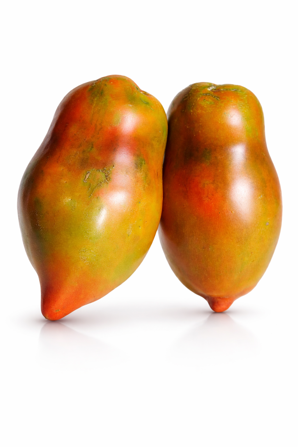Abbattista paste tomato x 10 seeds_1