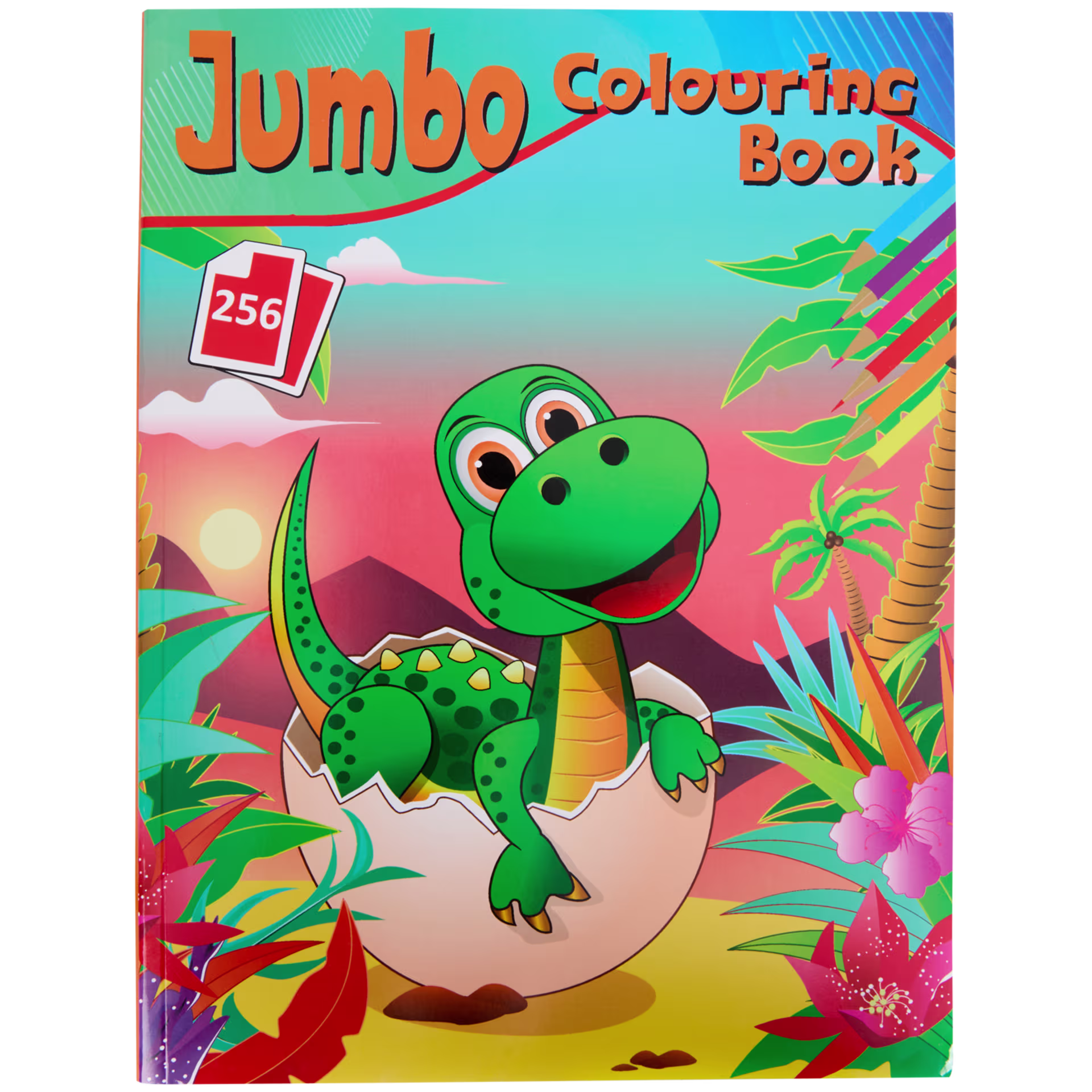 Livre de coloriage Jumbo 256 pages_0