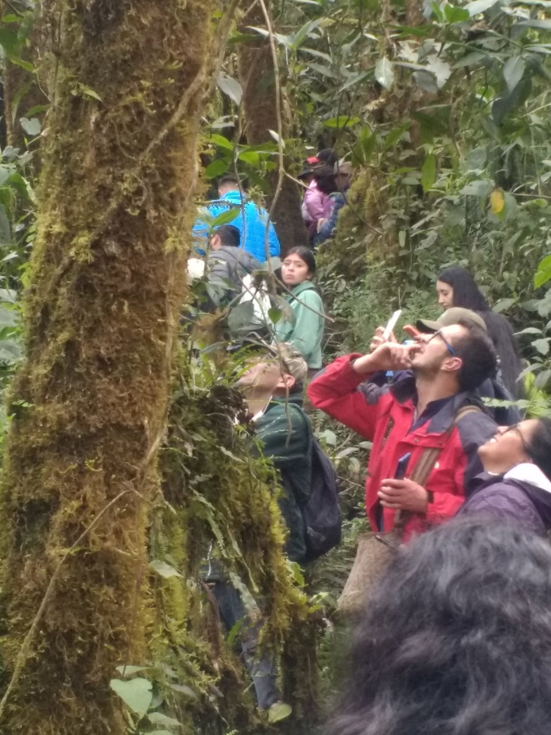 El Parche de Amigos (11 a 16 Personas)