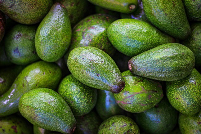 Avocado (per kg)_0