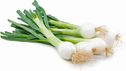 Spring Onions (per bunch)_0