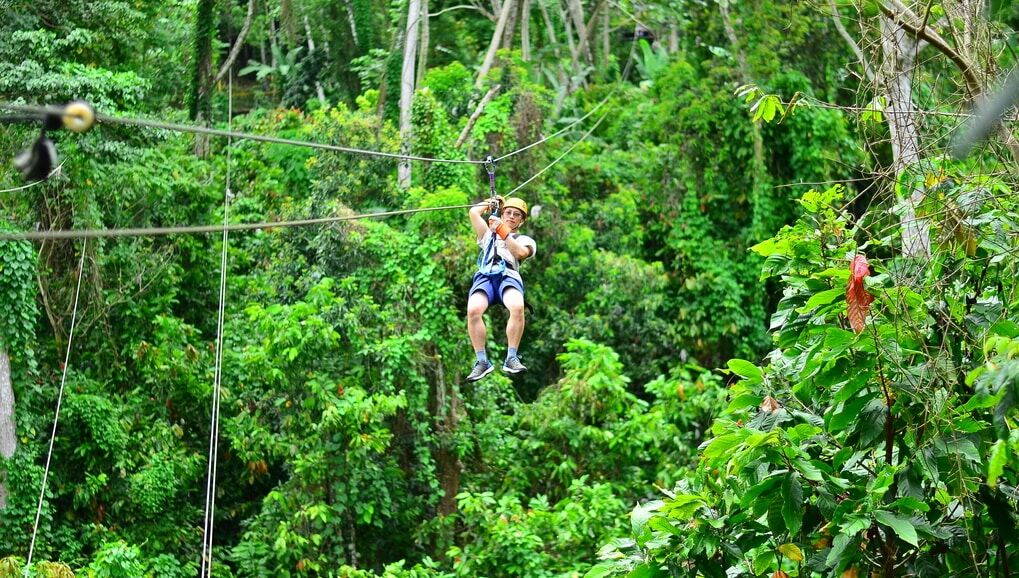 Zip line _1