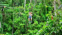 Zip line 