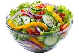 Catering Mini Salad Bowl 