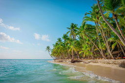 Saona island 