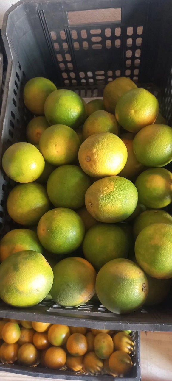 Local Orange