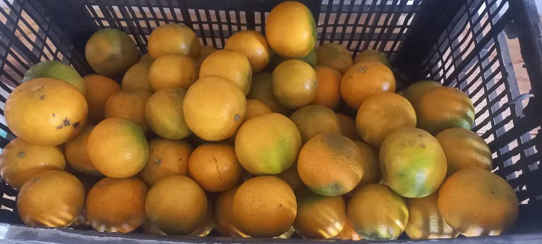 Mandarin_0
