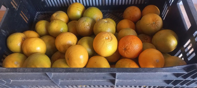 Tangerine