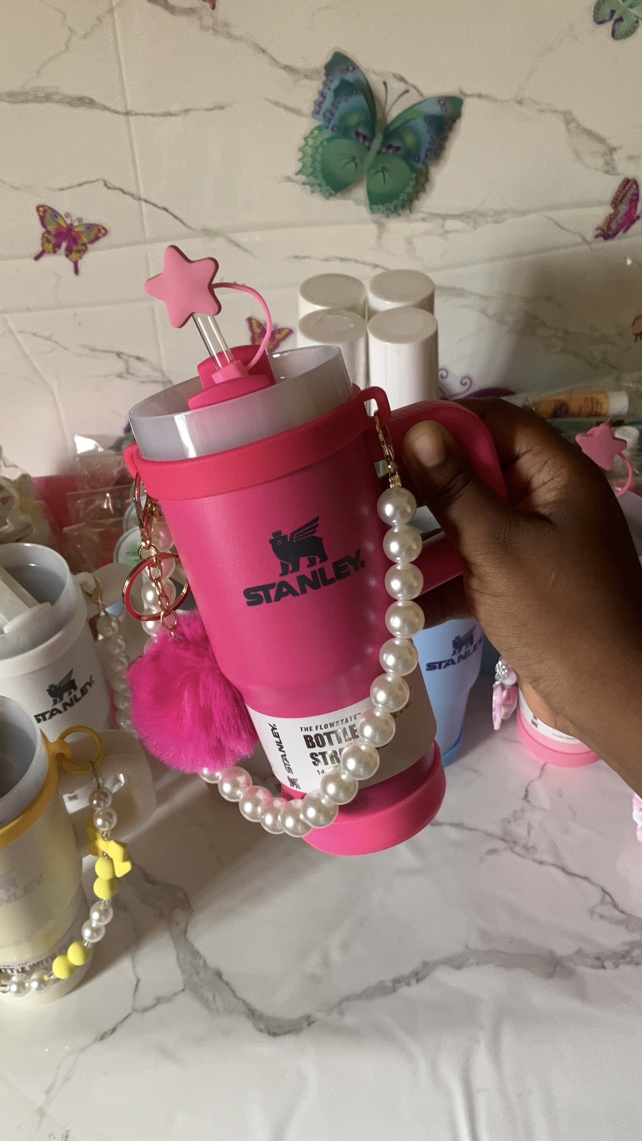 Mini gourde Stanley_2