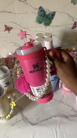Mini gourde Stanley