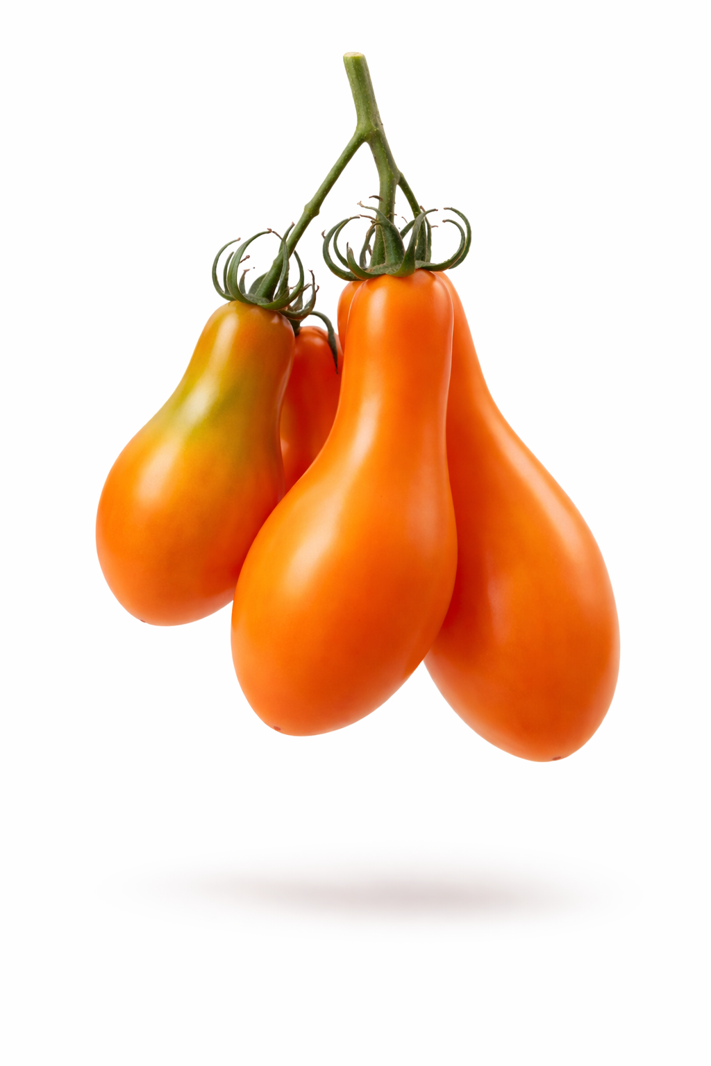 🍅MILA ORANGE PEAR TOMATO🍅 x 15 seeds_1