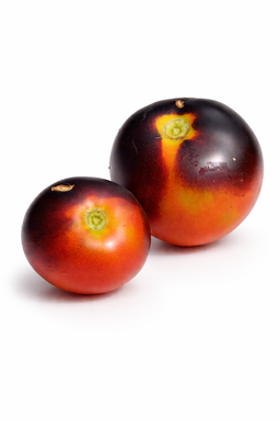 🍅INDIGO APPLE 🍅  x 10 organic seeds