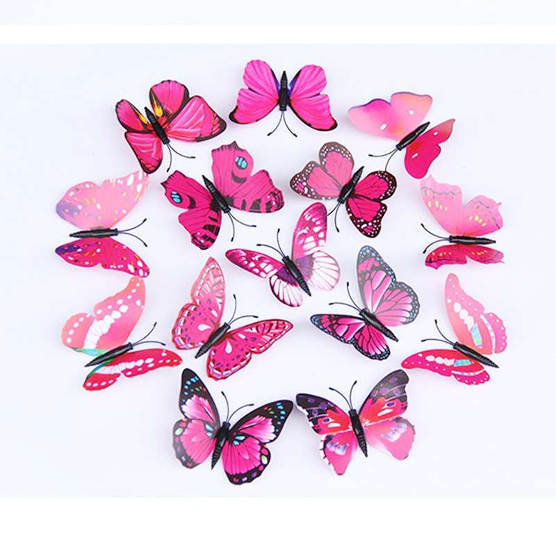 Single layer simulation butterfly _2