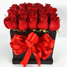 Caja de rosas rojas 25 piezas