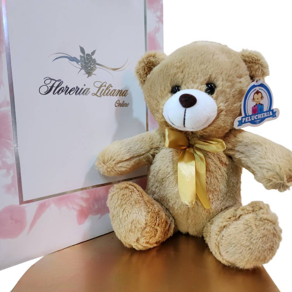 Oso de Peluche de 25 cm