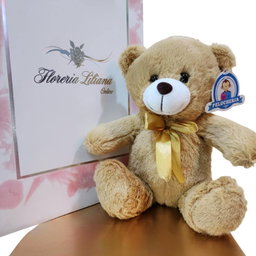 Oso de Peluche de 25 cm